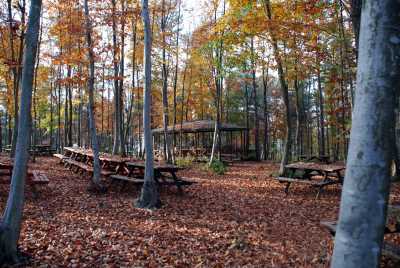asarkaya kent ormanı